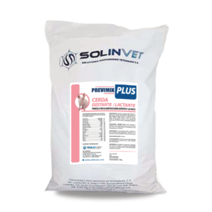 Cerda Gestante Lactante