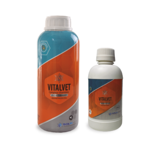 Vitalvet